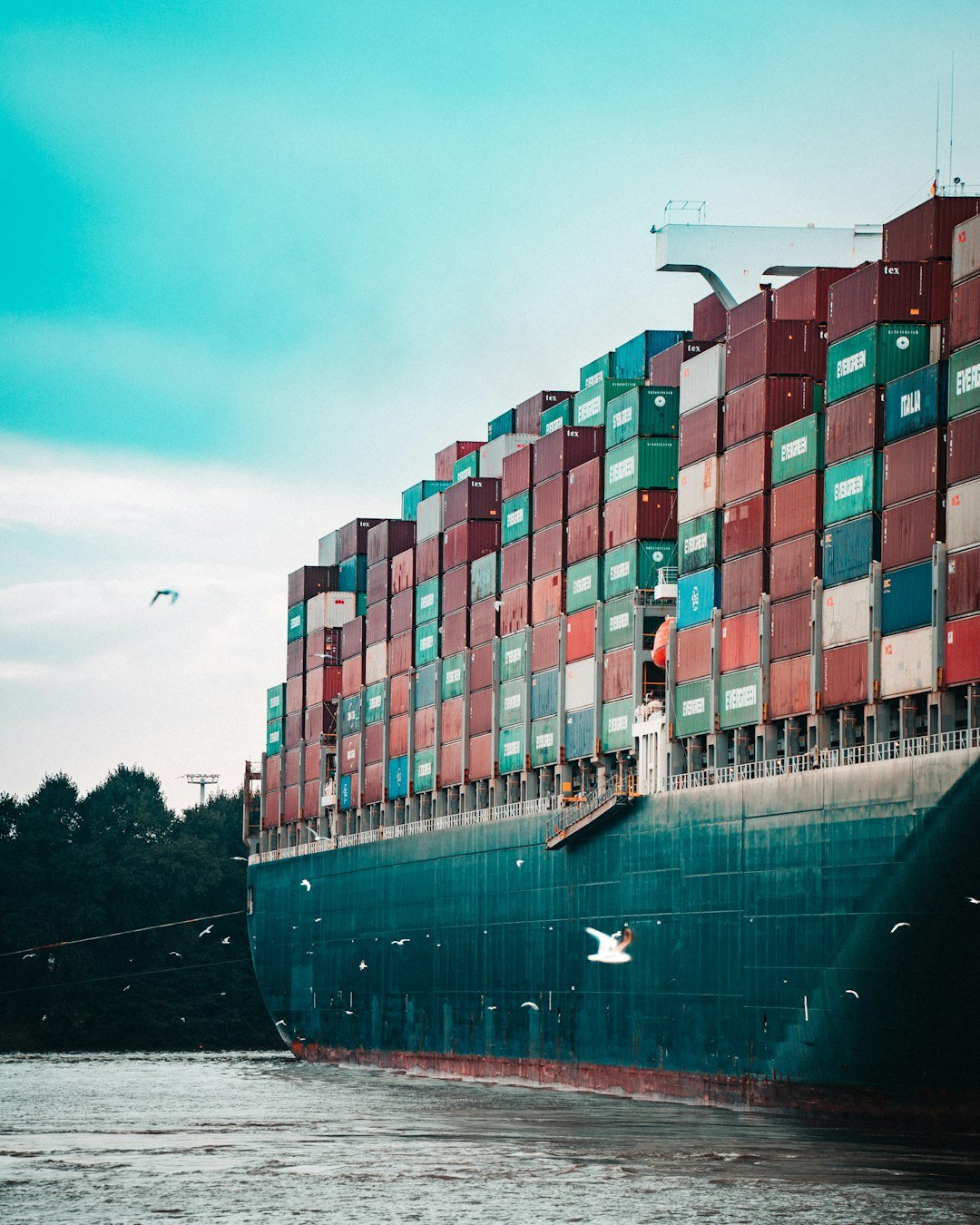 A massive ship getting pulled into the harbor. I love the seagulls in front of the hull!